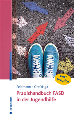 Praxishandbuch FASD in der Jugendhilfe von Anders,  Peter, Biener,  Monika, Bolbecher,  Gisela, Feldmann,  Reinhold, Graf,  Erwin, Hubelitz,  Jana, Kampe,  Martina, Lutter,  Christoph, Mosé,  Sigrid, Off,  Silke, Rüffer,  Jasmin, Sudhoff,  Dagmar, ter Horst,  Klaus, Yamini,  Anneke