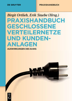 Praxishandbuch Geschlossene Verteilernetze und Kundenanlagen von Ortlieb,  Birgit, Staebe,  Erik