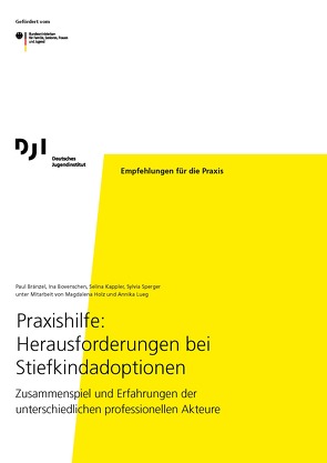 Praxishilfe: Herausforderungen bei Stiefkindadoptionen von Bovenschen,  Ina, Bränzel,  Paul, Sperger,  Sylvia