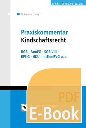 Praxiskommentar Kindschaftsrecht (E-Book) von Braun,  Christian, Cirullies,  Michael, Dürbeck,  Werner, Fink,  Sandra, Gottschalk,  Yvonne, Grün,  Klaus-Jürgen, Heilmann,  Stefan, Keuter,  Wolfgang, Menz,  Renate, Schweppe,  Katja, Wegener,  Susanne