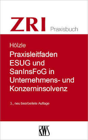 Praxisleitfaden SanInsFoG von Hölzle,  Gerrit