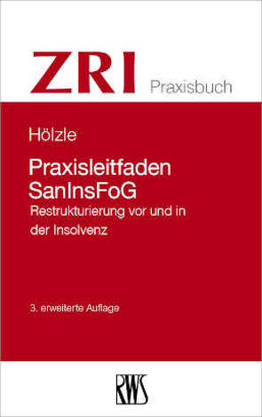 Praxisleitfaden SanInsFoG von Hölzle,  Gerrit