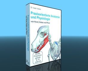 Praxisorientierte Anatomie und Physiologie von Hund, Katze und Pferd von Dr. Volker,  Gabriele, Sandrowski,  Werner