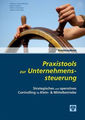 Praxistools zur Unternehmenssteuerung von Gumpetsberger,  Andreas, Hueber,  Robert, Schützinger,  Albert, Schützinger,  Harald