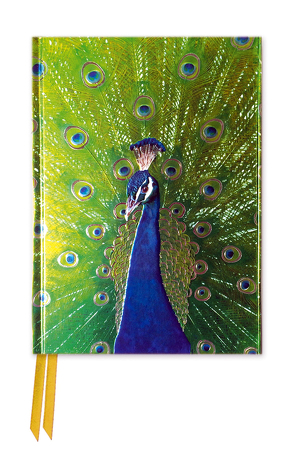 Premium Notizbuch DIN A6: Pfau in Blau und Grün