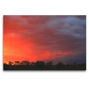 Premium Textil-Leinwand 120 x 80 cm Quer-Format Abendstimmung nahe der Etosha-Pfanne, Namibia | Wandbild, HD-Bild auf Keilrahmen, Fertigbild auf hochwertigem Vlies, Leinwanddruck von Dr. Werner Altner