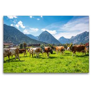 Premium Textil-Leinwand 120 x 80 cm Quer-Format Almabtrieb in Pertisau | Wandbild, HD-Bild auf Keilrahmen, Fertigbild auf hochwertigem Vlies, Leinwanddruck von Stefanie und Philipp Kellmann