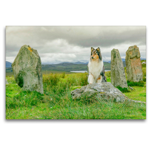 Premium Textil-Leinwand 120 x 80 cm Quer-Format An den Callanish Stones auf der Insel Lewis. | Wandbild, HD-Bild auf Keilrahmen, Fertigbild auf hochwertigem Vlies, Leinwanddruck von Julia Elling