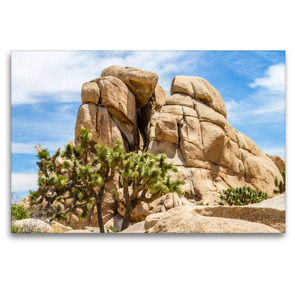 Premium Textil-Leinwand 120 x 80 cm Quer-Format Beeindruckender Joshua Tree National Park | Wandbild, HD-Bild auf Keilrahmen, Fertigbild auf hochwertigem Vlies, Leinwanddruck von Melanie Viola