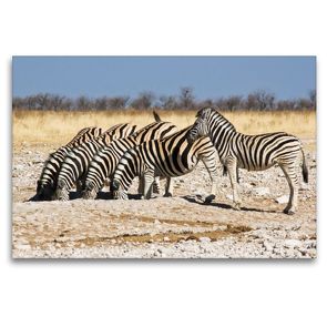 Premium Textil-Leinwand 120 x 80 cm Quer-Format Burchell Zebras an einem Wasserloch im Etosha National Park | Wandbild, HD-Bild auf Keilrahmen, Fertigbild auf hochwertigem Vlies, Leinwanddruck von Juergen Woehlke