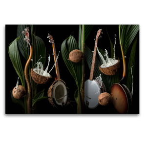 Premium Textil-Leinwand 120 x 80 cm Quer-Format Coconut banjo | Wandbild, HD-Bild auf Keilrahmen, Fertigbild auf hochwertigem Vlies, Leinwanddruck von N N