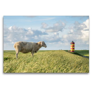 Premium Textil-Leinwand 120 x 80 cm Quer-Format Deichschafe | Wandbild, HD-Bild auf Keilrahmen, Fertigbild auf hochwertigem Vlies, Leinwanddruck von Stephan Giesers