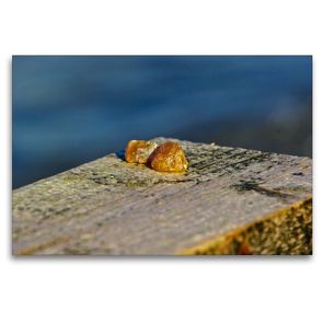Premium Textil-Leinwand 120 x 80 cm Quer-Format Falsches Ostseegold / kein Bernstein | Wandbild, HD-Bild auf Keilrahmen, Fertigbild auf hochwertigem Vlies, Leinwanddruck von Norbert J. Sülzner / NJS-Photographie