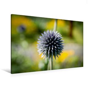 Premium Textil-Leinwand 120 x 80 cm Quer-Format Flower-Power | Wandbild, HD-Bild auf Keilrahmen, Fertigbild auf hochwertigem Vlies, Leinwanddruck von Andreas Levi – PHOTOmedia++ von Levi - PHOTOmedia++,  Andreas