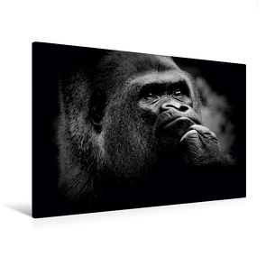 Premium Textil-Leinwand 120 x 80 cm Quer-Format Gorilla | Wandbild, HD-Bild auf Keilrahmen, Fertigbild auf hochwertigem Vlies, Leinwanddruck von Ulrich Brodde von Brodde,  Ulrich