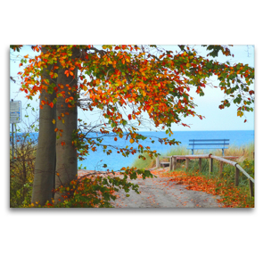 Premium Textil-Leinwand 120 x 80 cm Quer-Format Herbst auf der Halbinsel Fischland-Darss-Zingst | Wandbild, HD-Bild auf Keilrahmen, Fertigbild auf hochwertigem Vlies, Leinwanddruck von Claudia Schimmack