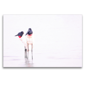 Premium Textil-Leinwand 120 x 80 cm Quer-Format Jabiru Storch (Jabiru Mycteria) | Wandbild, HD-Bild auf Keilrahmen, Fertigbild auf hochwertigem Vlies, Leinwanddruck von © viaje.ch