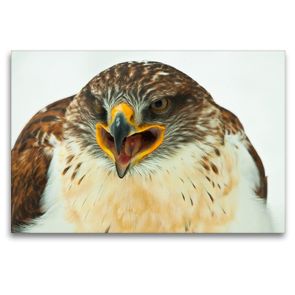 Premium Textil-Leinwand 120 x 80 cm Quer-Format Koenigsraufussbussard – Buteo regalis | Wandbild, HD-Bild auf Keilrahmen, Fertigbild auf hochwertigem Vlies, Leinwanddruck von Dirk Grasse