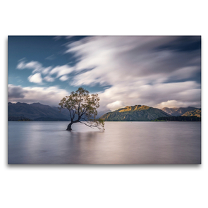 Premium Textil-Leinwand 120 x 80 cm Quer-Format Lake Wanaka und der einsame Wanaka Tree | Wandbild, HD-Bild auf Keilrahmen, Fertigbild auf hochwertigem Vlies, Leinwanddruck von Alexander Höntschel