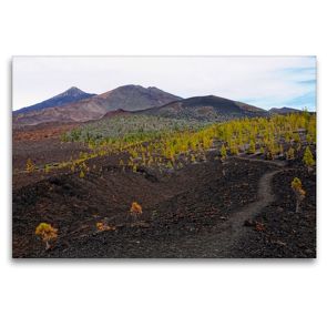 Premium Textil-Leinwand 120 x 80 cm Quer-Format Landschaft im Teide Nationalpark Teneriffa | Wandbild, HD-Bild auf Keilrahmen, Fertigbild auf hochwertigem Vlies, Leinwanddruck von Anja Frost