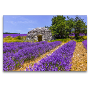 Premium Textil-Leinwand 120 x 80 cm Quer-Format Lavendefeld mit Steinhütte | Wandbild, HD-Bild auf Keilrahmen, Fertigbild auf hochwertigem Vlies, Leinwanddruck von Jürgen Feuerer