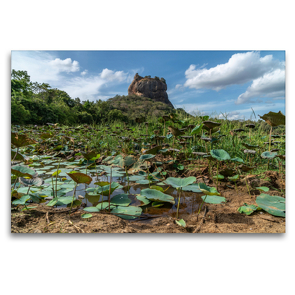 Premium Textil-Leinwand 120 x 80 cm Quer-Format Lotusfeld vor der Felsenfestung Sigiriya | Wandbild, HD-Bild auf Keilrahmen, Fertigbild auf hochwertigem Vlies, Leinwanddruck von Peter Hennrich