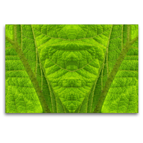 Premium Textil-Leinwand 120 x 80 cm Quer-Format Mammutbaum | Wandbild, HD-Bild auf Keilrahmen, Fertigbild auf hochwertigem Vlies, Leinwanddruck von Dagmar Laimgruber