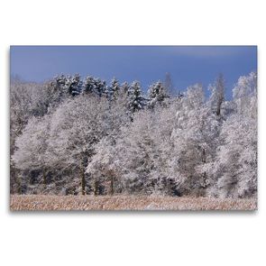 Premium Textil-Leinwand 120 x 80 cm Quer-Format Mischwald im Winter | Wandbild, HD-Bild auf Keilrahmen, Fertigbild auf hochwertigem Vlies, Leinwanddruck von kattobello