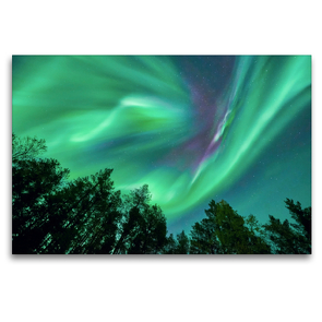 Premium Textil-Leinwand 120 x 80 cm Quer-Format Nordlichter im Wald | Wandbild, HD-Bild auf Keilrahmen, Fertigbild auf hochwertigem Vlies, Leinwanddruck von Pierre Oesterle