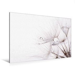 Premium Textil-Leinwand 120 x 80 cm Quer-Format Pusteblumen | Wandbild, HD-Bild auf Keilrahmen, Fertigbild auf hochwertigem Vlies, Leinwanddruck von SchnelleWelten von SchnelleWelten,  k.A.