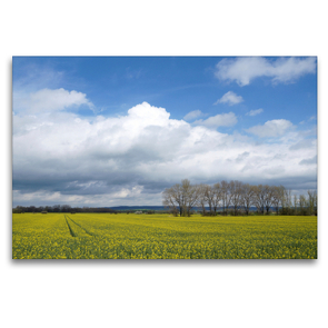 Premium Textil-Leinwand 120 x 80 cm Quer-Format Rapsfelder um Donndorf | Wandbild, HD-Bild auf Keilrahmen, Fertigbild auf hochwertigem Vlies, Leinwanddruck von Flori0