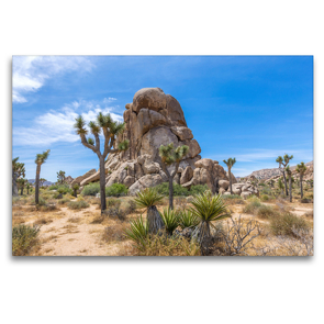 Premium Textil-Leinwand 120 x 80 cm Quer-Format Roadside Rock, Joshua Tree National Park | Wandbild, HD-Bild auf Keilrahmen, Fertigbild auf hochwertigem Vlies, Leinwanddruck von Melanie Viola