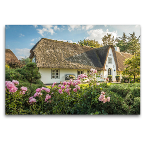 Premium Textil-Leinwand 120 x 80 cm Quer-Format Rosenpracht mit Friesenhaus | Wandbild, HD-Bild auf Keilrahmen, Fertigbild auf hochwertigem Vlies, Leinwanddruck von Christian Müringer