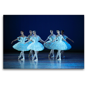 Premium Textil-Leinwand 120 x 80 cm Quer-Format Sechs Ballettösen | Wandbild, HD-Bild auf Keilrahmen, Fertigbild auf hochwertigem Vlies, Leinwanddruck von Uli Landsherr