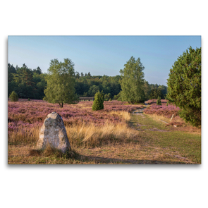 Premium Textil-Leinwand 120 x 80 cm Quer-Format Sehenswertes Naturschutzgebiet Lüneburger Heide | Wandbild, HD-Bild auf Keilrahmen, Fertigbild auf hochwertigem Vlies, Leinwanddruck von Heike Nack