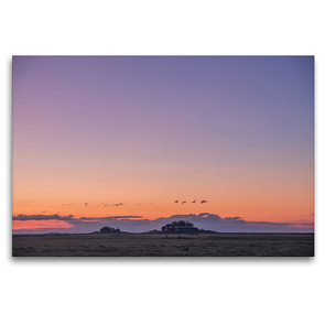 Premium Textil-Leinwand 120 x 80 cm Quer-Format Sonnenuntergang auf der Hallig Langeneß | Wandbild, HD-Bild auf Keilrahmen, Fertigbild auf hochwertigem Vlies, Leinwanddruck von Annett Mirsberger