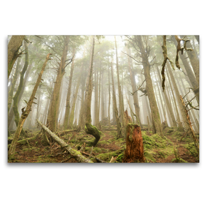 Premium Textil-Leinwand 120 x 80 cm Quer-Format Tow Hill – am nördlichsten Punkt Haida Gwaiis | Wandbild, HD-Bild auf Keilrahmen, Fertigbild auf hochwertigem Vlies, Leinwanddruck von N N