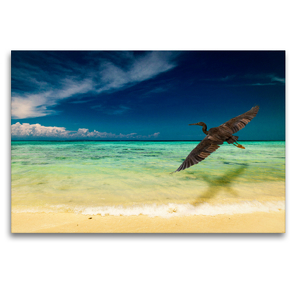 Premium Textil-Leinwand 120 x 80 cm Quer-Format Traumstrand auf Mantanani Island, Borneo. | Wandbild, HD-Bild auf Keilrahmen, Fertigbild auf hochwertigem Vlies, Leinwanddruck von Arne Wünsche