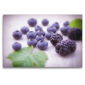 Premium Textil-Leinwand 120 x 80 cm Quer-Format Waldbeeren Potpourri | Wandbild, HD-Bild auf Keilrahmen, Fertigbild auf hochwertigem Vlies, Leinwanddruck von Tanja Riedel