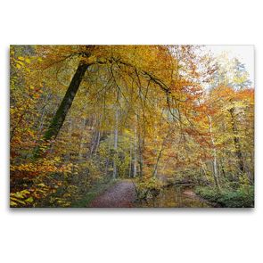 Premium Textil-Leinwand 120 x 80 cm Quer-Format Wanderweg durch die Maisinger Schlucht | Wandbild, HD-Bild auf Keilrahmen, Fertigbild auf hochwertigem Vlies, Leinwanddruck von Anja Frost