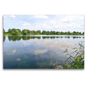 Premium Textil-Leinwand 120 x 80 cm Quer-Format Wasserpflanzen im Hufeisensee | Wandbild, HD-Bild auf Keilrahmen, Fertigbild auf hochwertigem Vlies, Leinwanddruck von Christine Bienert