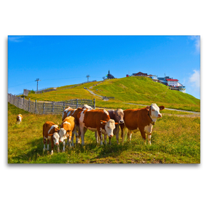 Premium Textil-Leinwand 120 x 80 cm Quer-Format Zufriedene und neugierige Kühe und Kälber | Wandbild, HD-Bild auf Keilrahmen, Fertigbild auf hochwertigem Vlies, Leinwanddruck von Christa Kramer