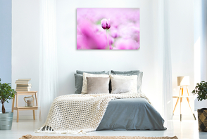 Premium Textil-Leinwand 1200 x 800 cm Quer-Format Blaumohn Blüte im Blütenmeer | Wandbild, HD-Bild auf Keilrahmen, Fertigbild auf hochwertigem Vlies, Leinwanddruck von Fotodesign Verena Scholze