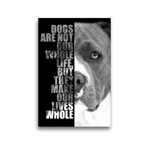 Premium Textil-Leinwand 30 x 45 cm Hoch-Format American Staffordshire Terrier | Wandbild, HD-Bild auf Keilrahmen, Fertigbild auf hochwertigem Vlies, Leinwanddruck von Wilsigns.com – Nicole Hahn