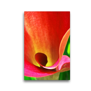 Premium Textil-Leinwand 30 x 45 cm Hoch-Format Calla / Blütenzauber | Wandbild, HD-Bild auf Keilrahmen, Fertigbild auf hochwertigem Vlies, Leinwanddruck von photografie-iam.ch