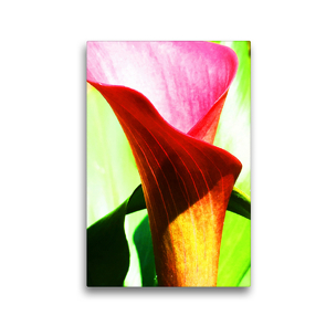 Premium Textil-Leinwand 30 x 45 cm Hoch-Format Calla | Wandbild, HD-Bild auf Keilrahmen, Fertigbild auf hochwertigem Vlies, Leinwanddruck von photografie-iam.ch