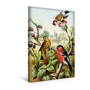 Premium Textil-Leinwand 30 x 45 cm Hoch-Format Drei Finken | Wandbild, HD-Bild auf Keilrahmen, Fertigbild auf hochwertigem Vlies, Leinwanddruck von Tunabooks/olf von Tunabooks/olf,  k.A.