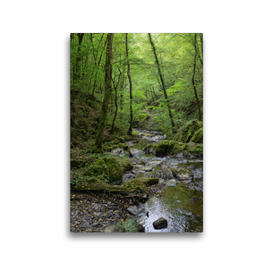 Premium Textil-Leinwand 30 x 45 cm Hoch-Format Ehrbach in der Ehrbachklamm im Hunsrück | Wandbild, HD-Bild auf Keilrahmen, Fertigbild auf hochwertigem Vlies, Leinwanddruck von Anja Frost