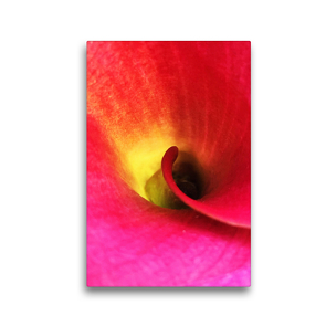 Premium Textil-Leinwand 30 x 45 cm Hoch-Format Farbenträume / Calla | Wandbild, HD-Bild auf Keilrahmen, Fertigbild auf hochwertigem Vlies, Leinwanddruck von photografie-iam.ch