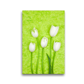 Premium Textil-Leinwand 30 x 45 cm Hoch-Format Französiche Tulpen | Wandbild, HD-Bild auf Keilrahmen, Fertigbild auf hochwertigem Vlies, Leinwanddruck von Gaby Wojciech